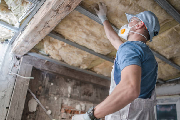 Best Attic Insulation Installation  in Jnstown, OH