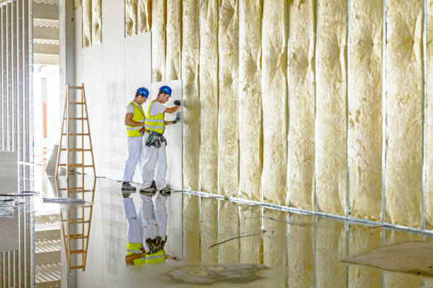 Best Attic Insulation Installation  in Jnstown, OH